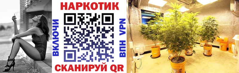 Купить наркотик Злынка Марихуана  Псилоцибиновые грибы  Гашиш  ГЕРОИН  Мефедрон 