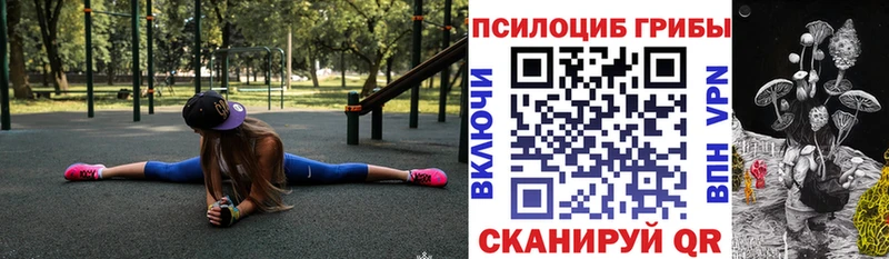 Псилоцибиновые грибы прущие грибы  Злынка 