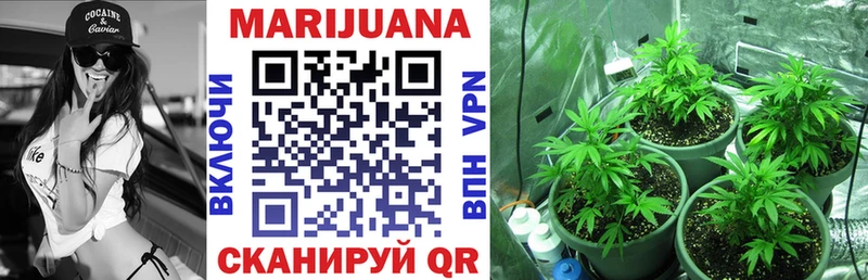 Бошки марихуана OG Kush  где купить   Злынка 